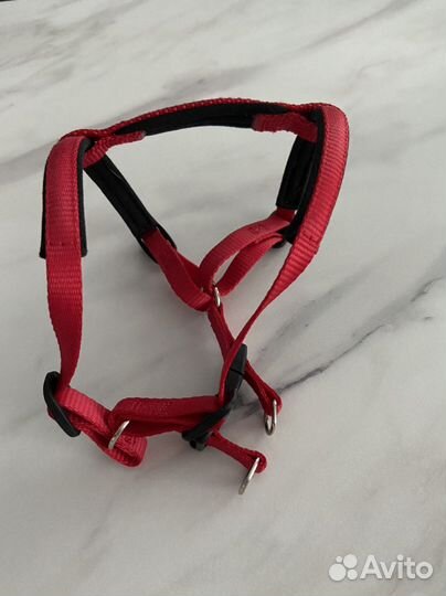 Шлейка и поводок для собак мелких и средних пород