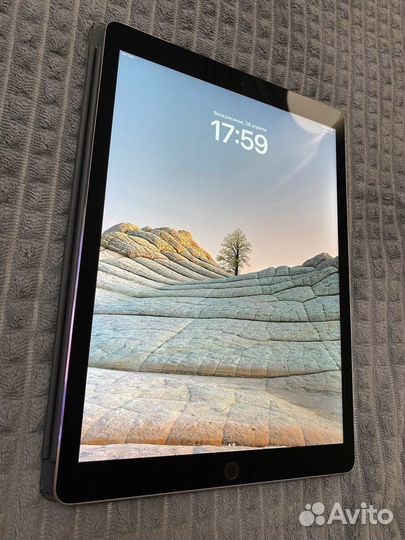 iPad pro 12.9