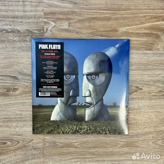 Pink Floyd - The Division Bell (винил)