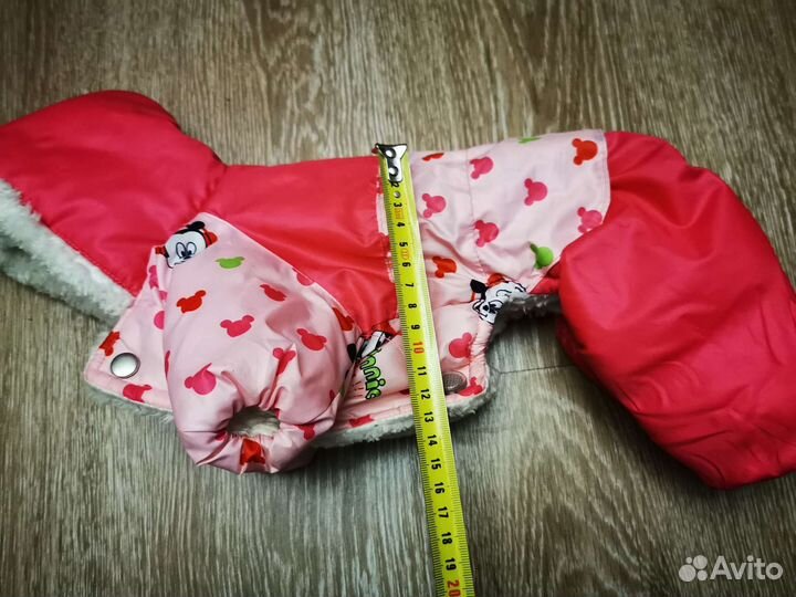 Одежда для собак