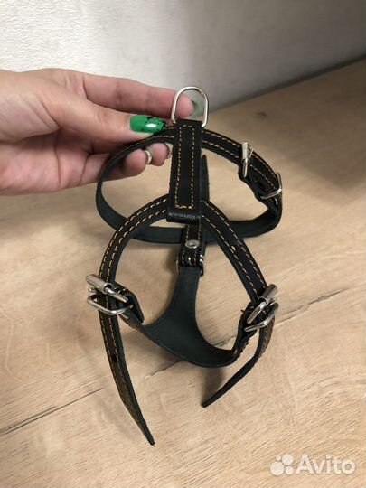 Шлейка для маленькой собаки