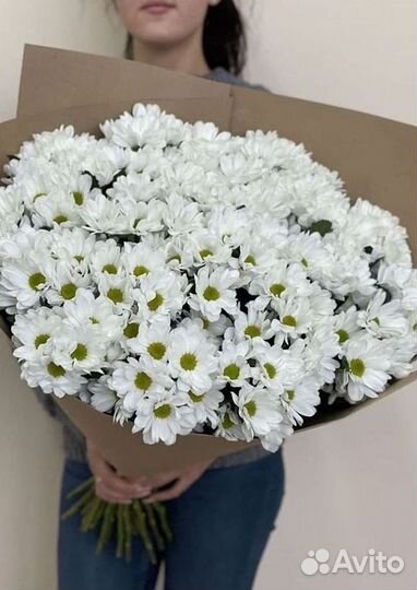 Хризантема Доставка цветов Букеты