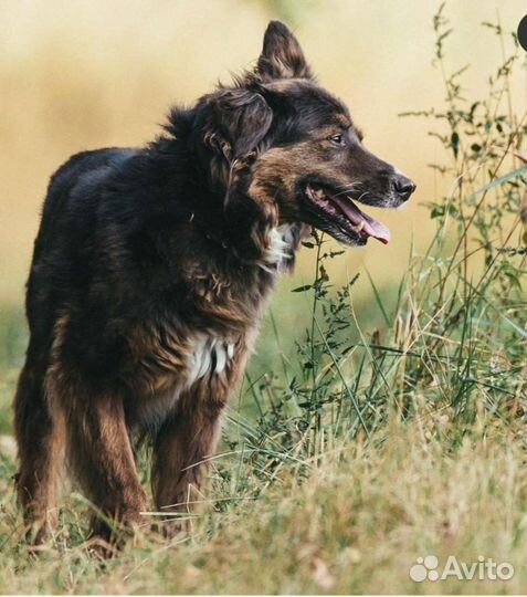 Мудрая и спокойная девочка