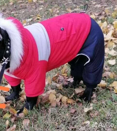 Комбинезон для собаки(мальчик) осень - зима