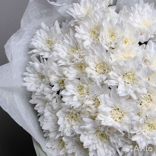 Цветы Хризантема с доставкой Котовск