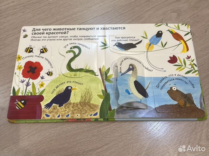 Как говорят животные книга с окошками