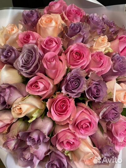 Роза, букет роз, 25 роз, 51 роза, 101 роза