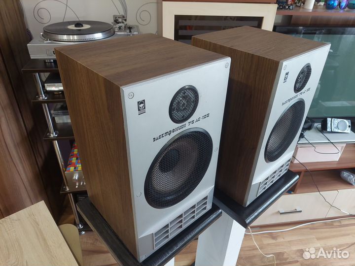 Акустика Электроника 75 ас102
