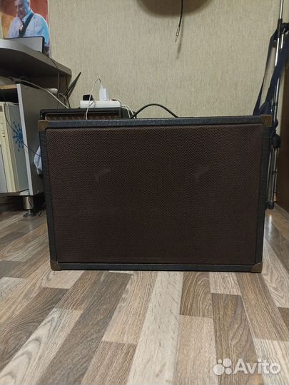 Гитарный кабинет 2х10