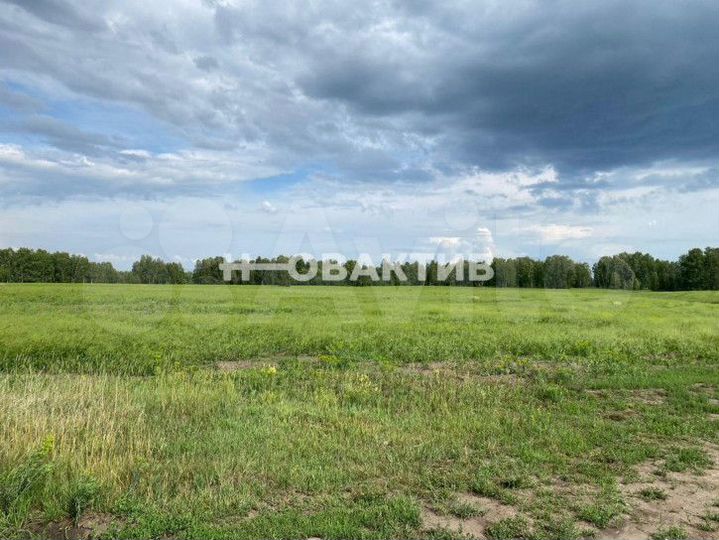 Участок 12 сот. (ИЖС)