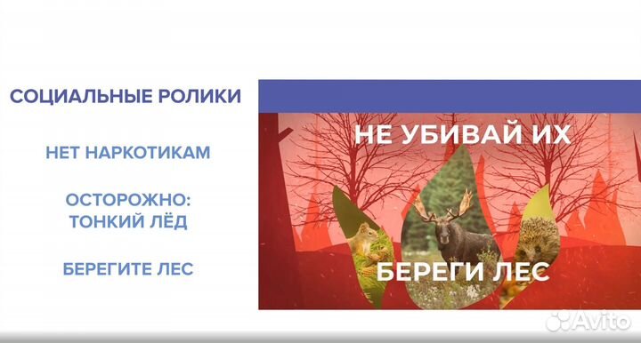 Видеомонтажер