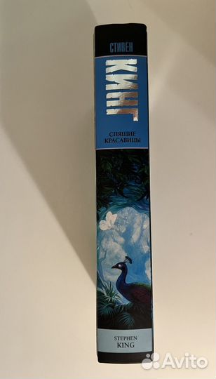 Спящие красавицы Стивен Кинг