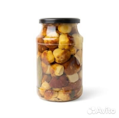 Рыжики, грузди, маслята, белые