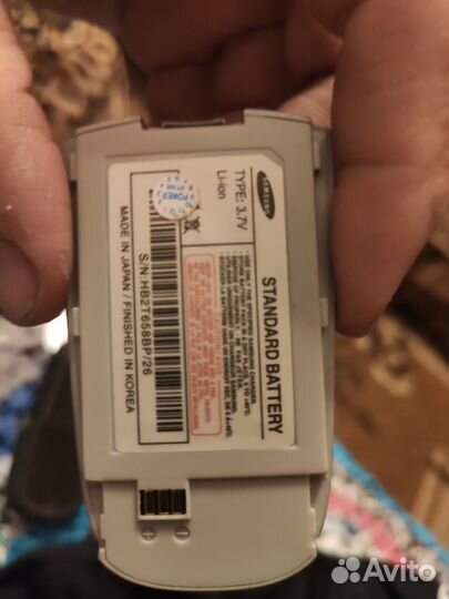 Samsung SGH-X100