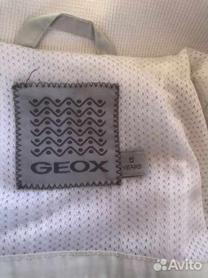 Ветровка для девочки 116