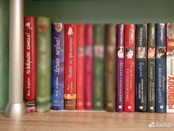 Коллекция редких книг про котов