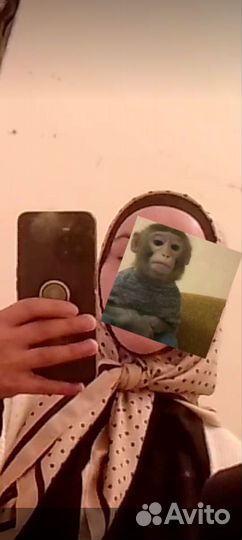 Женские шарфы и платки