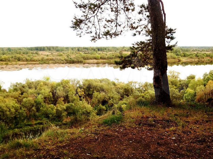 Участок 2 га (ИЖС)