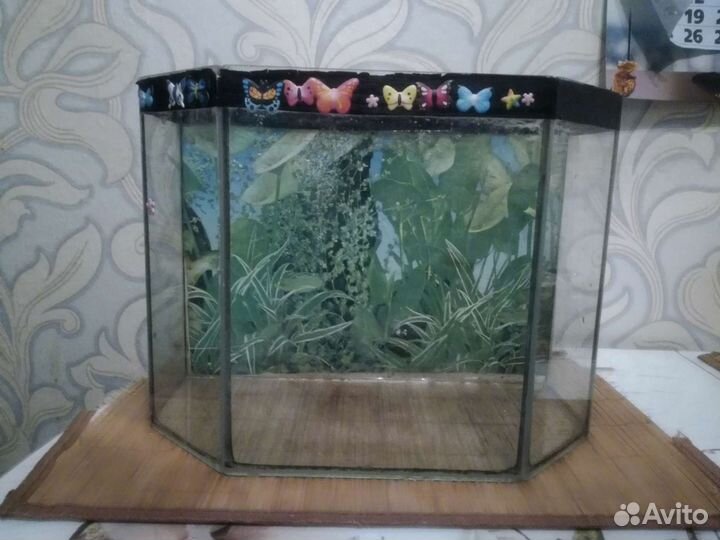 Аквариум