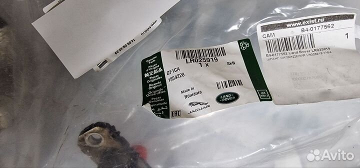 Патрубок (трубопровод, шланг)