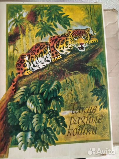 Набор спичек Такие разные кошки