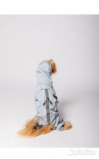 Комбинезон для собак мелких пород