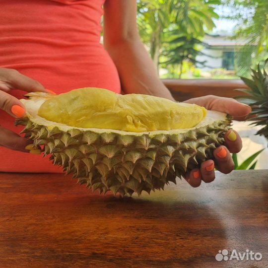 Семена Дуриана Монтонг/Коньяо