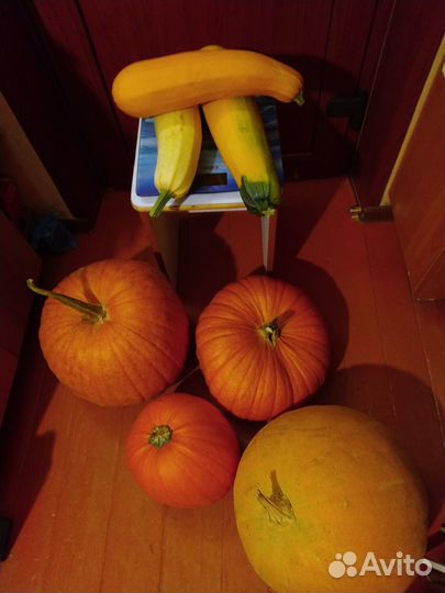 Тыкву и кабачки