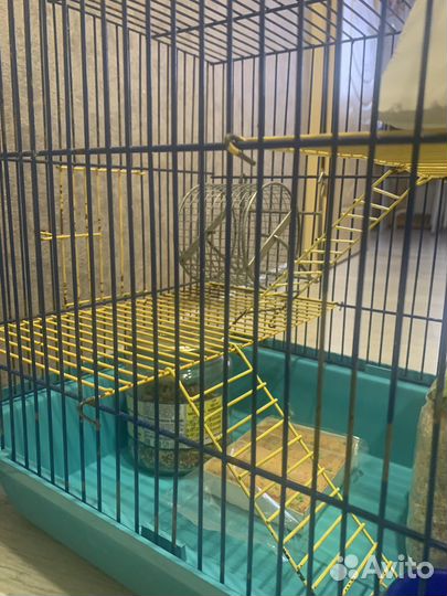 Клетка для хомяка