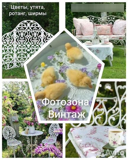 Фотосессия с утятами в цветах