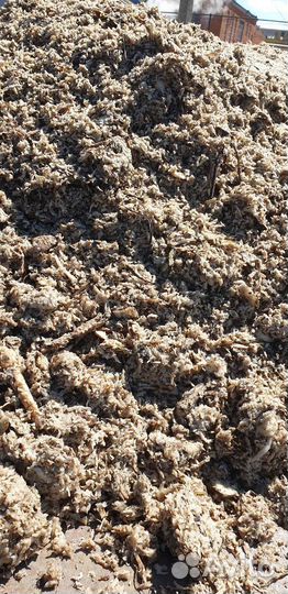 Жом свекловичный