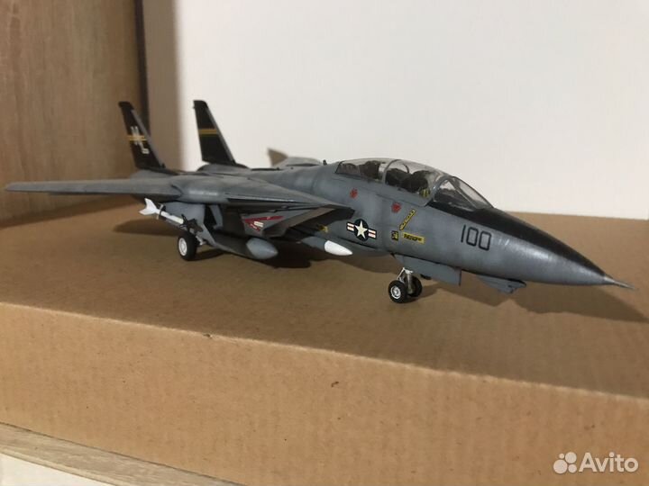 Модель самолета F-14