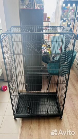 Клетка для грызунов очень большая на колесах