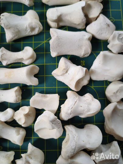 Кости набор