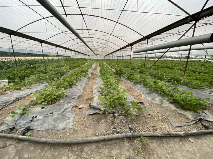 Дом 78 м² на участке 34 сот.