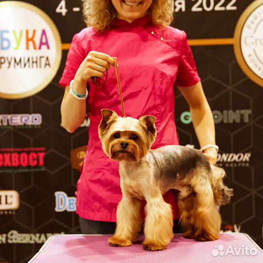 Груминг - Салон. Зоо-отель. Дрессировка собак