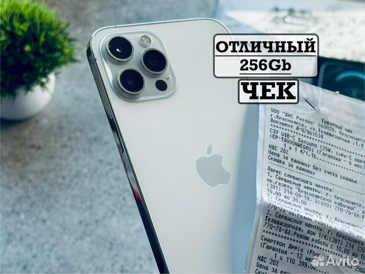 iPhone 12 Pro Max, 256 ГБ