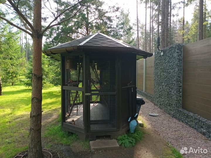 Бельчатник