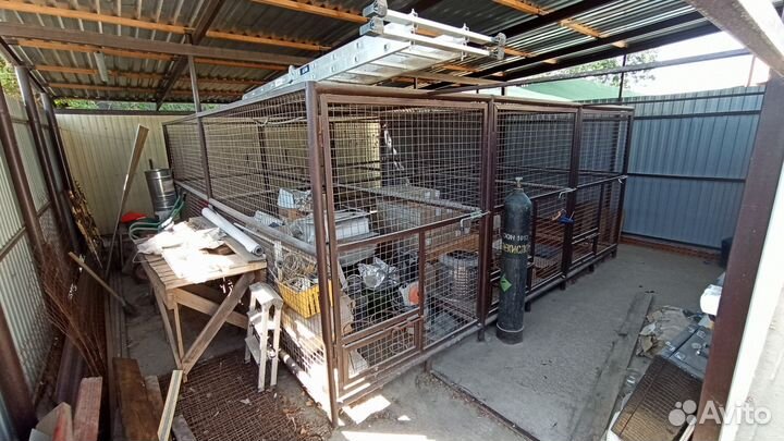 Вольер для собак