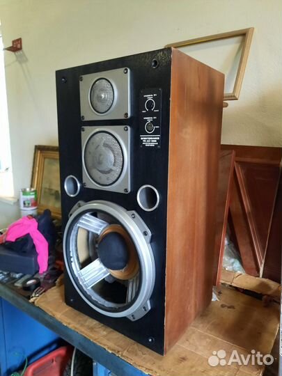 Одна колонка Электроника 75ас-061