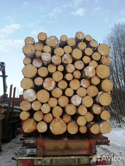 Лес кругляк / Дрова