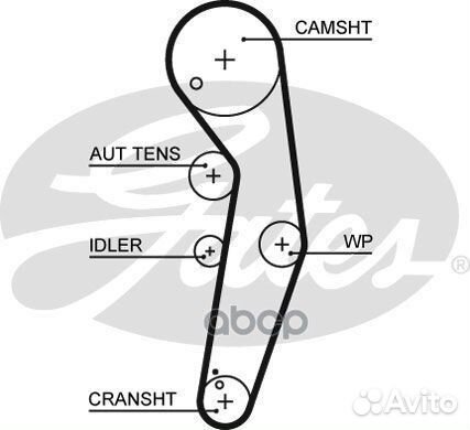 Ремень грм audi/ford/seat/skoda/VW 1.9 00- (120