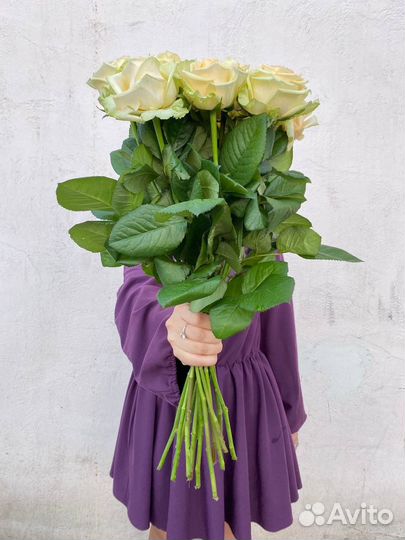 15 роз пич аваланш