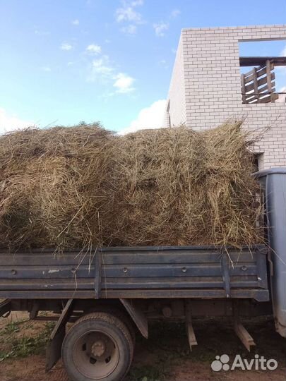 Сено в рулонах 2023