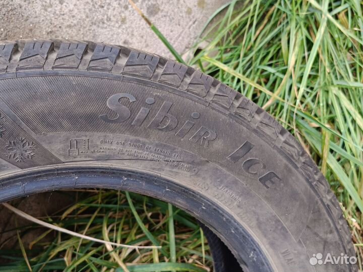 Matador MP 50 Sibir Ice 195/65 R15 91T