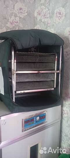 Инкубатор для яиц