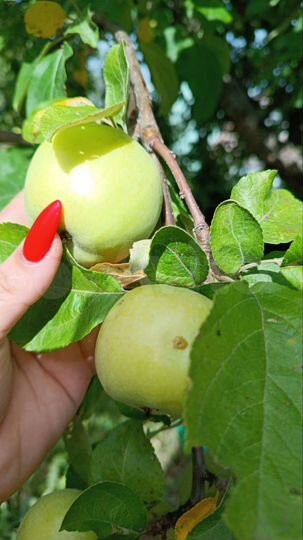 Дом 86 м² на участке 3,7 сот.