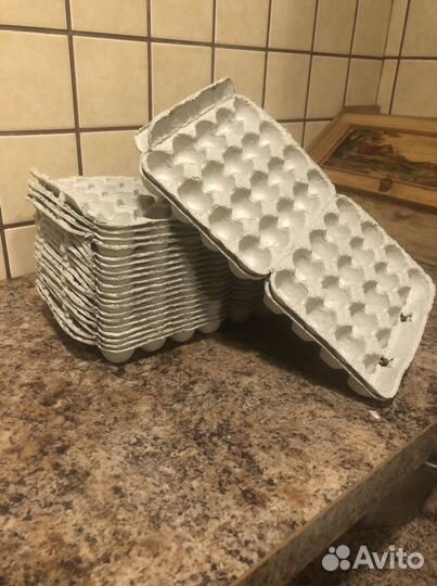 Упаковка для перепелиных яиц