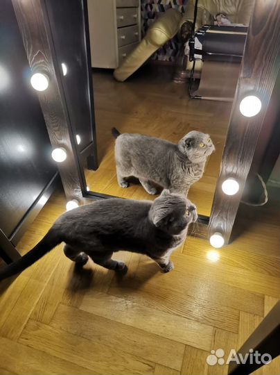 Напольное зеркало