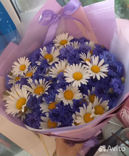 Васильки, букет васильков, васильков с ромашками